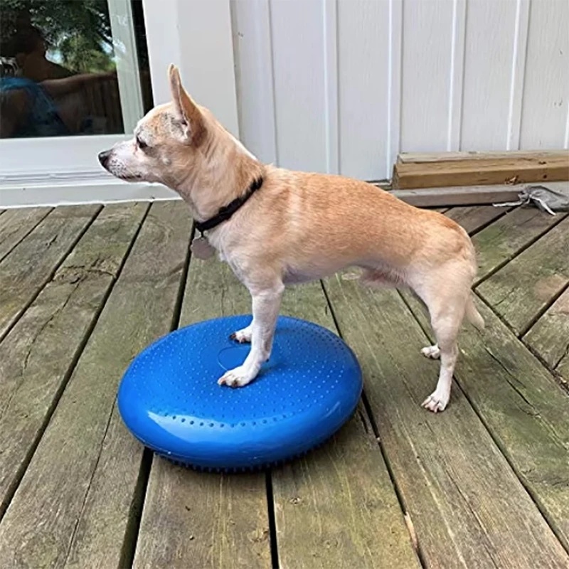 Balance Cushion Disc - Disco de Equilibrio para Perros, Cojín
