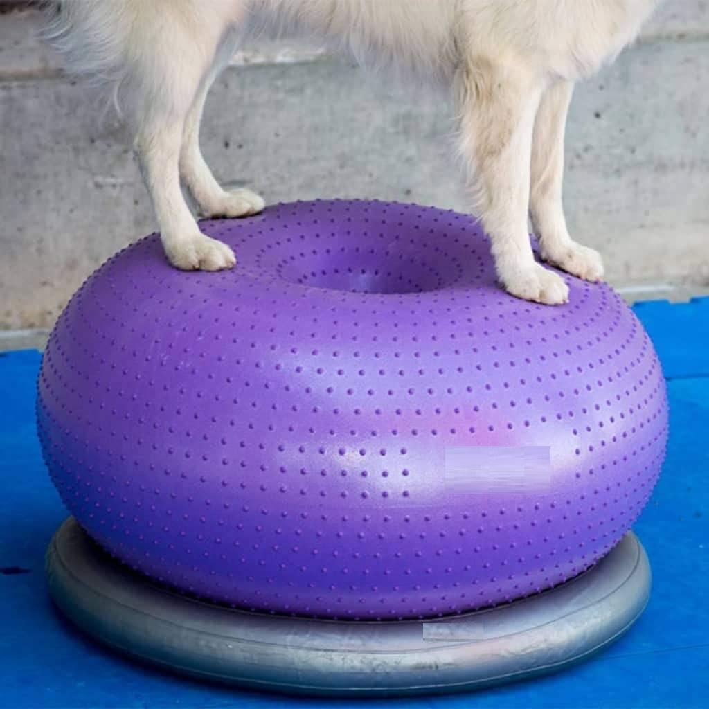 Balance Cushion Disc - Disco de Equilibrio para Perros, Plataforma