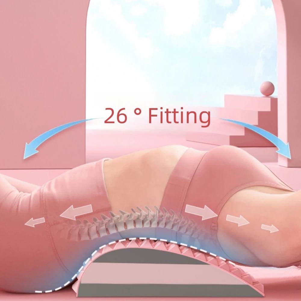 Camilla de espalda, almohada p - Balance Cushion Disc reseña y precio