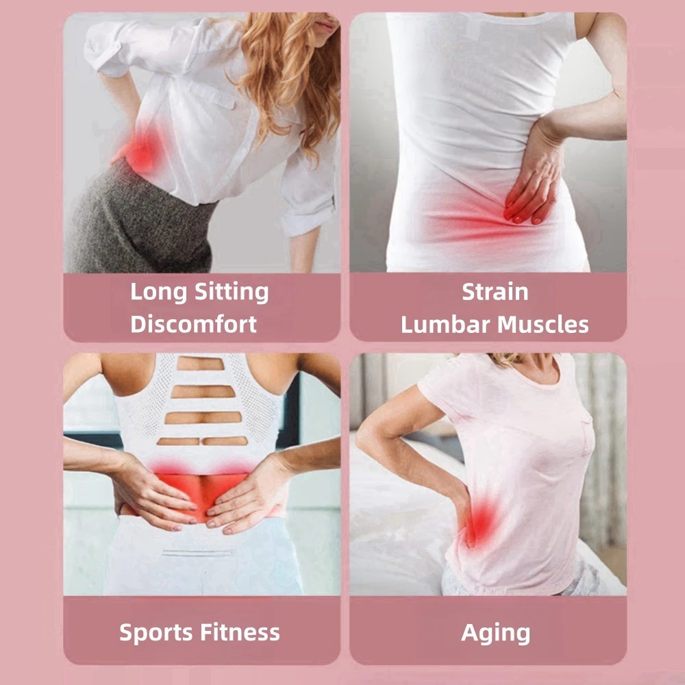 Camilla de espalda, almohada p - Balance Cushion Disc reseña y precio