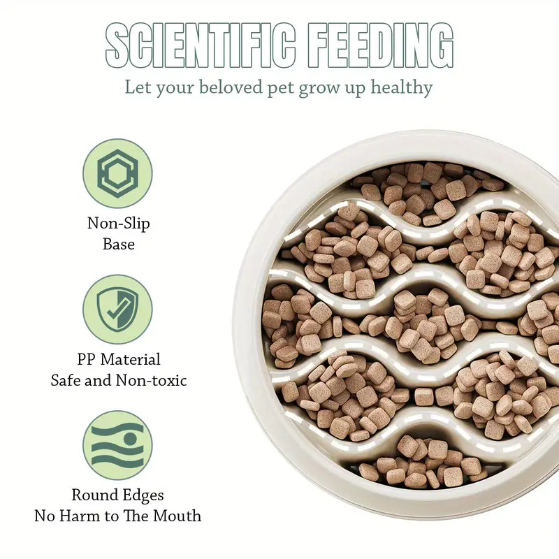 Platos de Alimentación Lenta c - Health Wellness Product reseña y precio