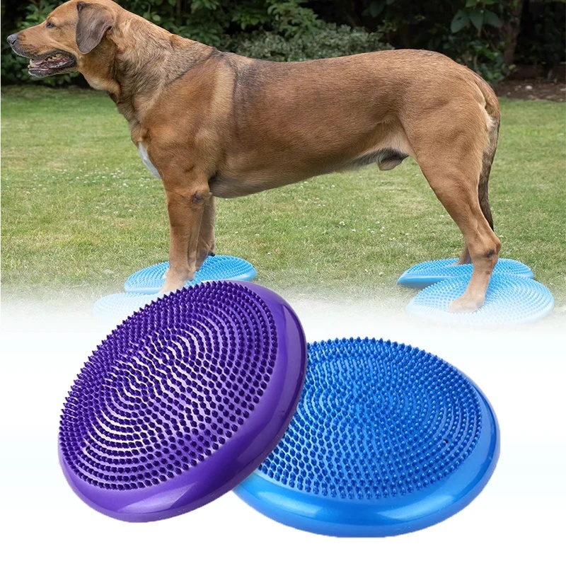 Disco de Equilibrio para Perro - Balance Cushion Disc reseña y precio