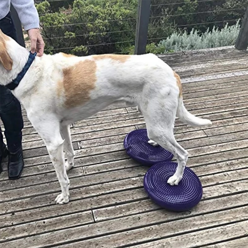 Disco de Equilibrio para Perro - Balance Cushion Disc reseña y precio