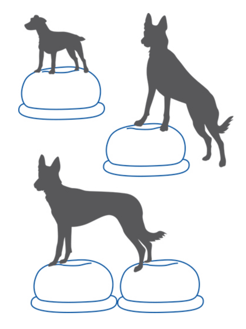 Disco de Equilibrio para Perro - Balance Cushion Disc reseña y precio